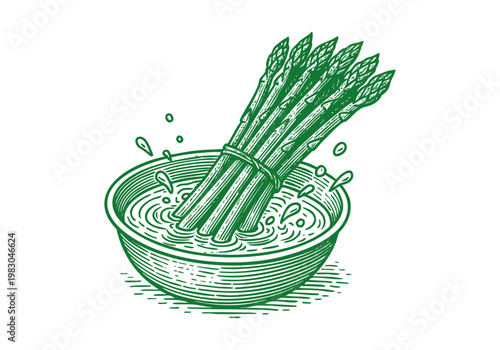 Wild Asparagus Spear Hand Drawn Sketch, Organic Spring Vegetable Vector Illustration Isolated