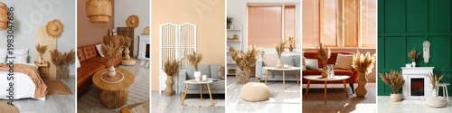Collage of stylish domestic...
