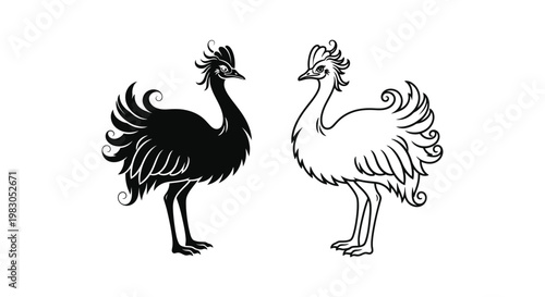 Emus vs Ostriches: Unique Flightless Bird Comparison Vector