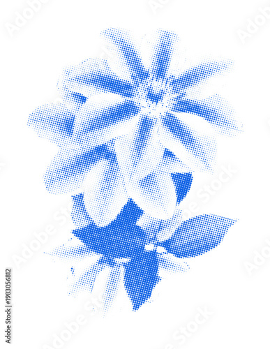 Blue cyanotype clematis flower isolated on transparent background. Halftone overlay effect flower silhouette. Vector design element in retro printmaking style for vintage wall art, poster, mixed media