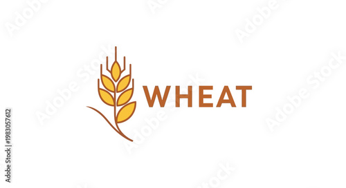 Golden Wheat Grain Illustration.