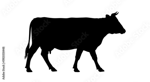 Silhouette of a black cow walking from left to right on a white background, a simple and clear illustration