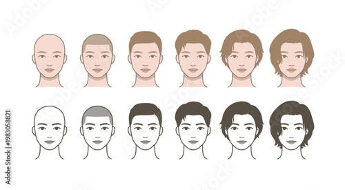 Male Hair Growth Progression Set, Bald to Long Hair Styles, Hairstyle Transformation Timeline, Hair Length Comparison, Grooming Chart Illustration
