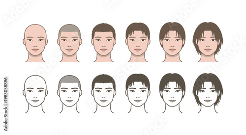 Male Hair Growth Progression Set, Bald to Long Hair Styles, Hairstyle Transformation Timeline, Hair Length Comparison, Grooming Chart Illustration
