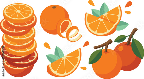 Orange Fruit Vector Collection with Slices, Whole Oranges, Peels and Leaves in Bright Flat Style for Fresh Juice, Food Packaging and Healthy Lifestyle Designs