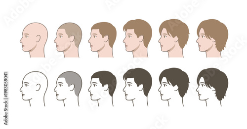 Male Hair Growth Progression Side View, Profile Hairstyle Transformation from Bald to Long Hair, Hair Length Comparison, Grooming Chart Illustration