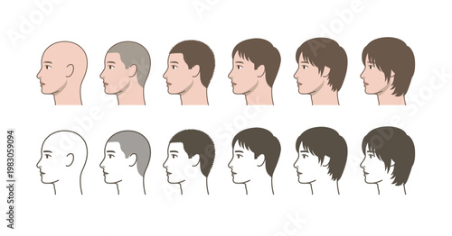 Male Hair Growth Progression Side View, Profile Hairstyle Transformation from Bald to Long Hair, Hair Length Comparison, Grooming Chart Illustration