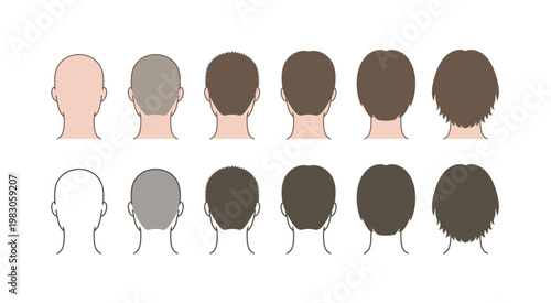 Male Hair Growth Progression Back View, Rear Head Hairstyle Transformation from Bald to Long Hair, Hair Length Comparison Grooming Chart Illustration
