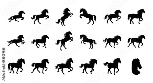 Horse Silhouette Collection: Galloping, Rearing, Standing - Dynamic Motion Poses