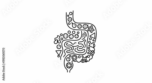 Abstract graphic representation of the digestive system and its contents