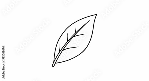 Simple black outline drawing of a single pointed oval leaf with veins