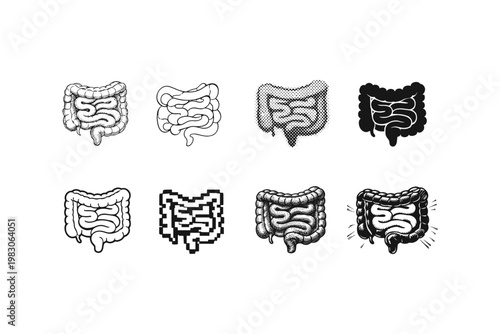 Collection of stylized human intestinal tract illustrations in various artistic styles
