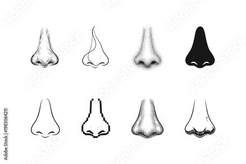 Collection of diverse nose illustrations in various artistic styles on a white background