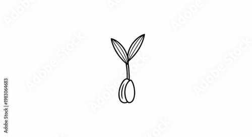 Simple line drawing of a young plant sprouting from a seed
