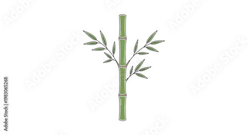Hand drawn illustration of a bamboo stalk with fresh green leaves