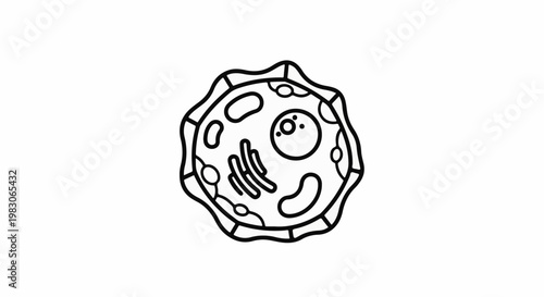 Stylized diagram of a cell's internal components