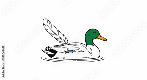 A white duck with a green head and orange beak floats on water with a feather
