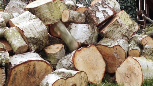 Unsplit firewood being thrown onto woodpile