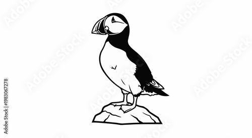 A striking black and white illustration of a puffin standing on a rocky surface