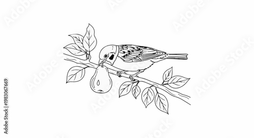 A sparrow perches on a branch, holding a pear in its beak