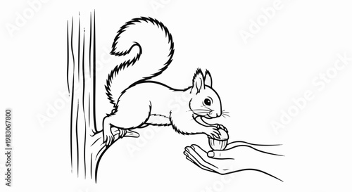 A squirrel on a branch receives a nut from a person's hands