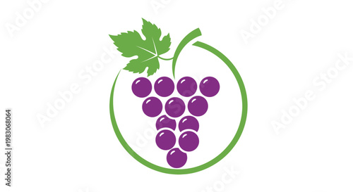 Purple grapes bunch vector icon with green leaf on white background