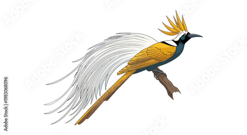 Illustration of a majestic bird of paradise with long white plumes perched on a branch.