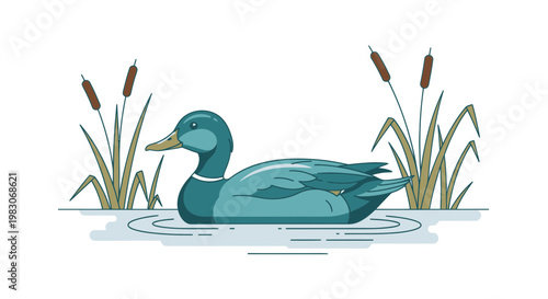 Stylized Duck Swimming in Water with Reeds, Vector Illustration