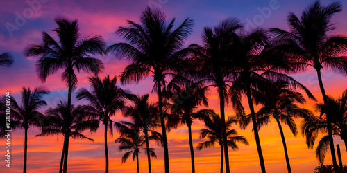 Tropical Palm Trees Silhouetted Against Vibrant Sunset Sky