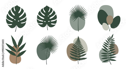 Collection of various green tropical leaves.