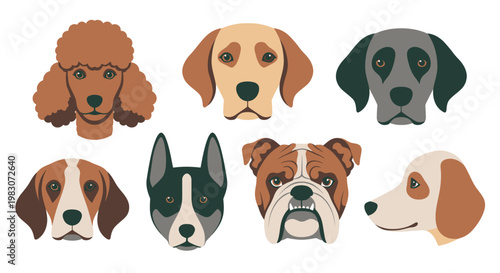 Collection of seven dog breeds faces.