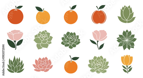 Oranges and succulents in bloom.