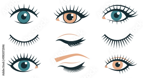 Eyes with various false eyelashes.
