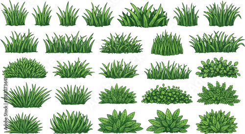 Green grass tufts and garden shrubs vector set, collection of 25 organic plant elements, hand drawn botanical bushes for landscape design