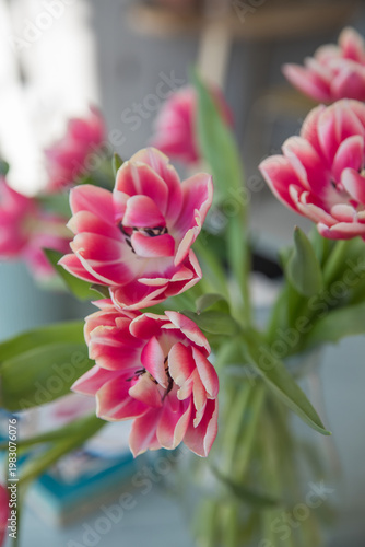 A beautiful, lush bouquet of tulips in an interior