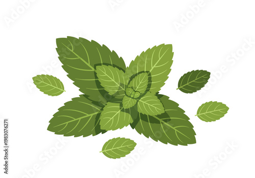 An illustration of green leaves and foliage scattered on a white surface