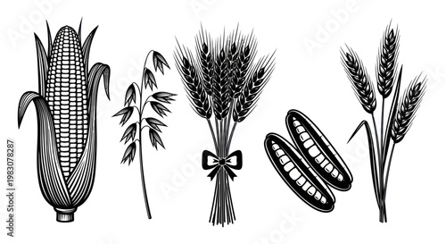 Collection of farm products: corn, oats, wheat, and peas