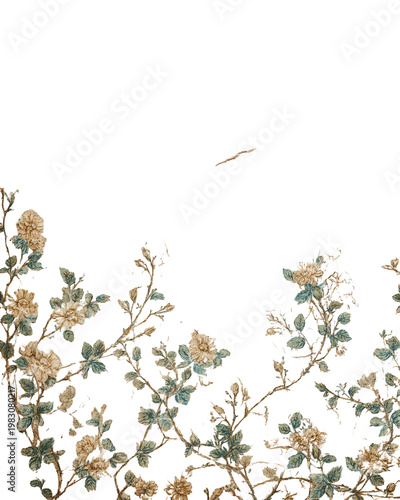 Delicate floral illustration on black background, showcasing intricate detail and soft hues