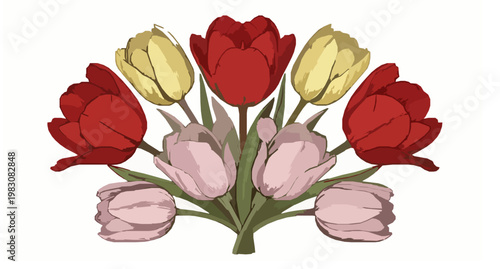 Elegant blooming tulip bouquet vector illustration in vintage botanical painting style isolated on white