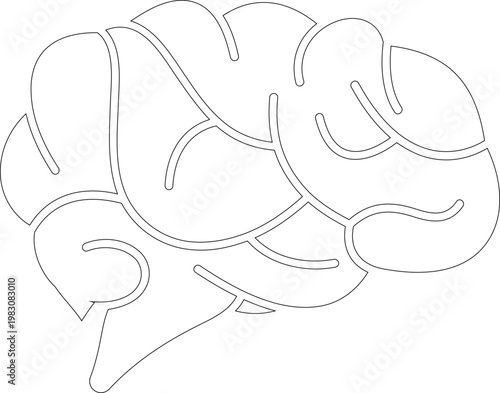 brain icon