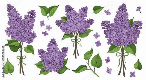 Delicate purple lilac blossoms with green leaves and tied stems