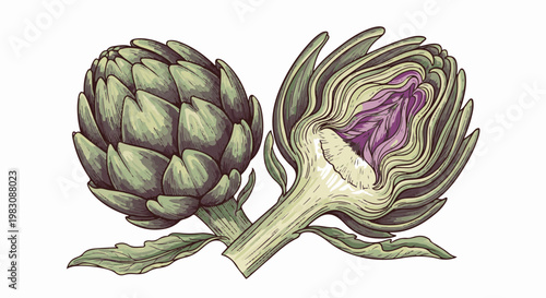Two stylized artichokes, one whole, the other halved revealing purple interior