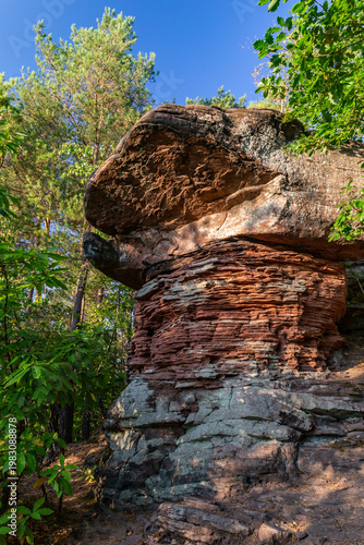 A large rock formation stands among trees in Leinsweiler. The sunlight highlights the unique shapes and colors of the rocks.