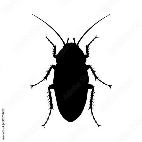 Cockroach silhouette - vector illustration