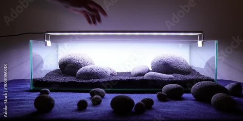 Aquascape Aquascaping Fish tank