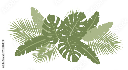 A clean, modern graphic featuring tropical leaves, evoking a sense of growth, tranquility, and freshness. Ideal for branding, website backgrounds, or 