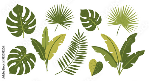 A vibrant monstera leaf illustration evokes a sense of natural growth and tranquility. Ideal for marketing materials, website design, or social media 