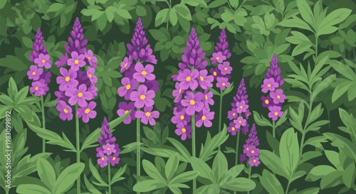Vector illustration of purple wildflowers with yellow centers blooming in a dense garden of green foliage. The floral spikes are surrounded by various green leaf patterns.