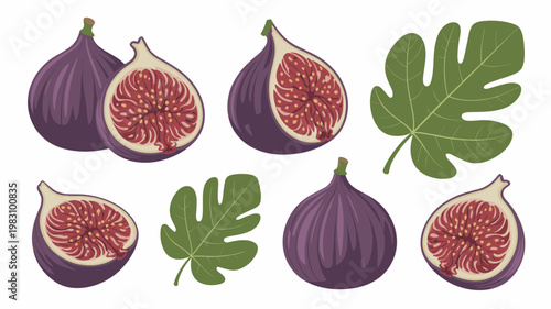 Fig Fruit Vector Set Whole Figs, Slices and Leaves Organic Food Collection