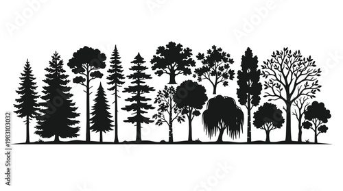 Black silhouettes of various trees landscape.